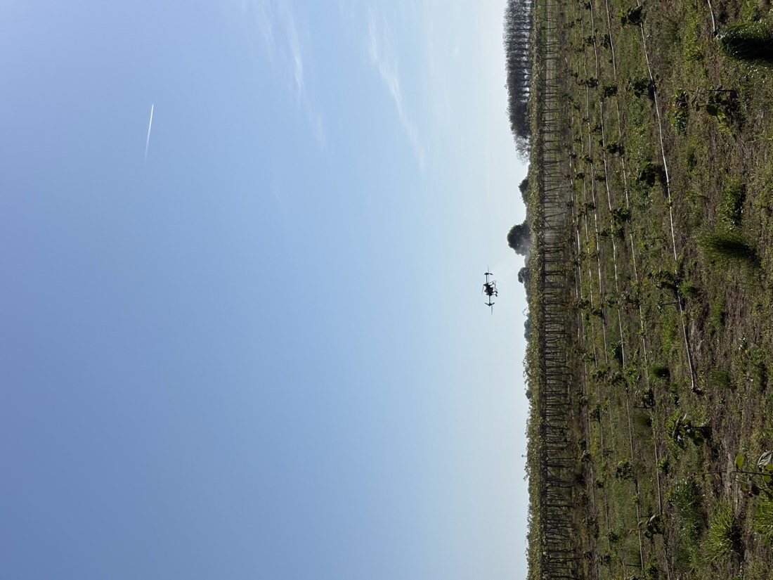 Το drone περνά χαμηλά πάνω από ακτινίδια